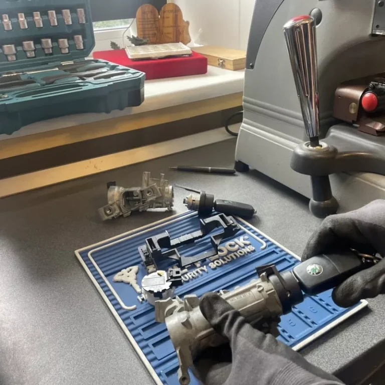 skoda-spynos-remontas